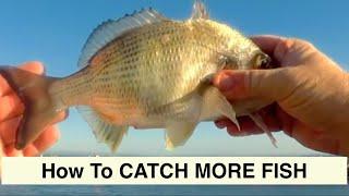 Anyone can catch fish here, Fishing Spots Part 2, Scarborough Boat Ramp, Catch more fish.