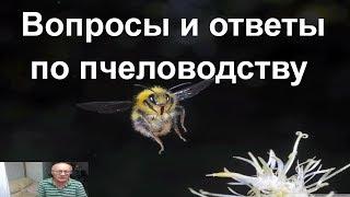 №1 Вопросы и ответы по пчеловодству. Пасека. Пчеловодство для начинающих