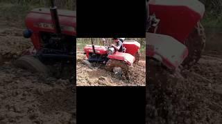 khatarnak fas Gaya Massey Ferguson 30 #shortsviral #youtubeshorts #farming #shorts #short