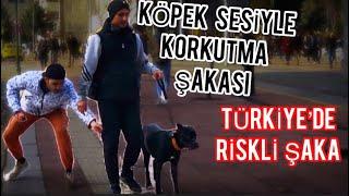 Köpek Sesiyle Kork*tma Şakası (Türkiye’de İlk)