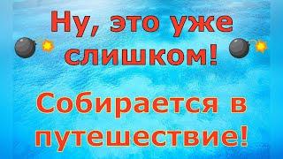 Деревенский дневник очень многодетной мамы \ Ну, это уже слишком! Собирается в путешествие! \ Обзор