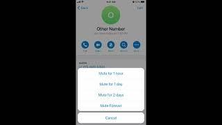 How to MUTE SOMEONE in TELEGRAM?