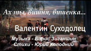 Валентин Суходолец "Ах ты, вишня, вишенка" (Б.Зиганшин - Ю.Колодний)