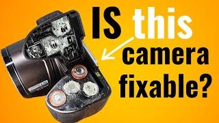 Exploding Batteries Nightmare: Restoring a Digital Camera to Life!
