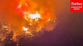 BREAKING NEWS: Active Forest Fire Caught On Camera In Santa Barbara County, California