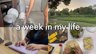 life in singapore | introvert’s 8-5 wfh, rainbow,home cooked meal ideas #singapore #wfh #vlog