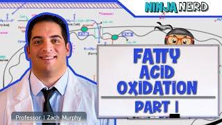 Metabolism | Fatty Acid Oxidation: Part 1