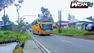 KEDATANGAN BUS & TRUCK MBOIS