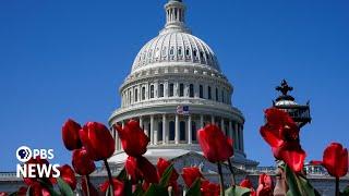 WATCH LIVE: Senate gavels in as government shutdown deadline draws near