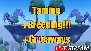 TAMING + GIVEAWAYS Horse Life Livestream