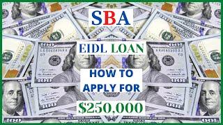 ($250,000) SBA EIDL Loan How To Fill Out Application