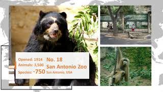 Top 20 Zoos in the World with Most Species of Animals