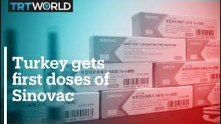 Turkey gets its first Covid-19 vaccines from China