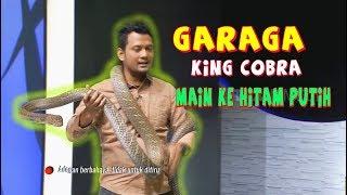 GARAGA The King Cobra Lagi Ganteng, DILEPAS Sama Panji | HITAM PUTIH (16/01/20) Part 3
