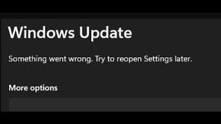 Fix Windows 11 Error Something Went Wrong Try To Reopen Settings Later