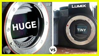 What Sensor Size is the Best? | Camera Sensor Comparison (Sony vs Canon vs Lumix)