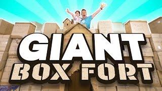 I Made a GIANT BOX FORT!!