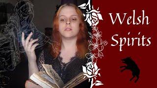 Welsh Spirits | Ghosts, Bogies, Fairies, Goblins! | Welsh Witchcraft & Folklore