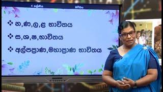 න,ණ,ල,ළ, / ස,ශ,ෂ / අල්පප්‍රාණ, මහප්‍රාණ භාවිතය   -   04 ශ්‍රේණිය(සිංහල)