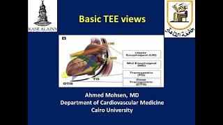 Basic Transoesophageal Echocardiography (TEE) views