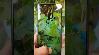 #motorola g54.5g,,camera"review^test,,2023