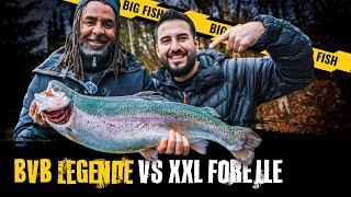 BVB Legende vs XXL Forelle