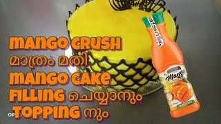 mango crush മാത്രം ഉപയോഗിച്ച് simple ആയി mango കേക്ക് idea