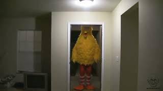 (Original) Big Bird Kicks Down Door [Free to Use]