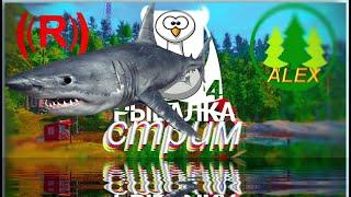 Русская рыбалка 4. # Буфик, на час...    ник: moranhitor