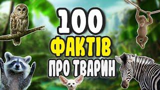 100 ФАКТІВ ПРО ТВАРИН | ЦІКАВО ЗНАТИ