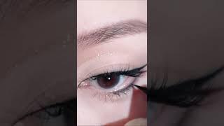 Fish style eyeliner #eyetutorial #wingliner #shortsviral