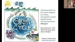 DMC Science Seminar Series- Untangling the links: ocean life, carbon cycle, future climate