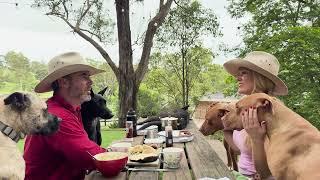 Pack  Dynamics after the Loss of our Matriarch - over a Cuppa ️ and Damper 