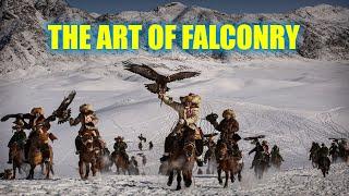 FALCONRY and ME | falconeria CACCIA