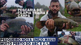 muita tilápia saio traíra e carpa também pés nova união Mauá #pesca #tilapia #traira #peacaria