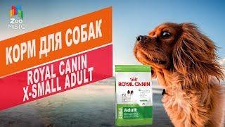 КОРМ ДЛЯ СОБАК ROYAL CANIN X-SMALL ADULT | Обзор КОРМА ДЛЯ СОБАК ROYAL CANIN X-SMALL ADULT