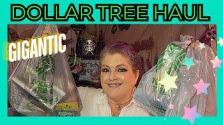 GIGANTIC DOLLAR TREE HAUL | September 10, 2024