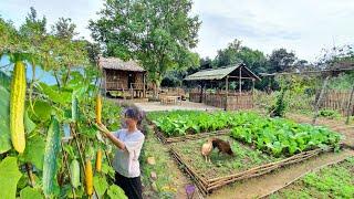 Video Lengkap: 75 Hari Kehidupan Peternakan, Berkebun, Bertani, Memasak, Merawat Hewan | Anak Thon