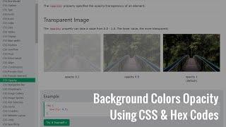 How To Add Opacity In Background Colors Using CSS or Hex Codes?