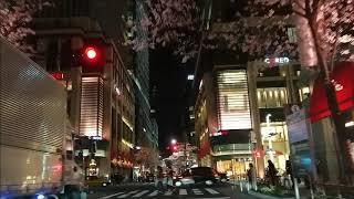 Edo Sakura Street  April 2, 2019