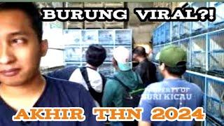 burung viral?!  akhir tahun 2024.