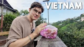 Tasting Vietnam 