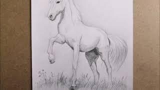 3D.How to draw a horse/Как нарисовать лошадь