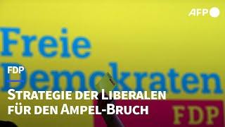 "Kernnarrativ" für den "D-Day": FDP-Strategie für den Ampel-Bruch | AFP