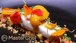 Season 7 Semi-Final Dishes! | MasterChef Australia