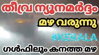 kerala news| kerala rain news today NewsLive InfoMedia #MalayalamNewsLive