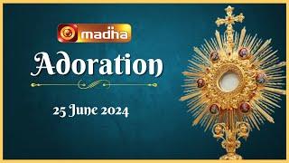  LIVE 25 June 2024 Adoration 11:00 AM | Madha TV