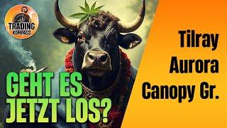 Canopy Growth, Aurora, Tilray - Endlich Bullenmarkt?  | Technische Analyse & Preisziele