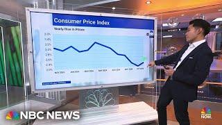 Consumer Price Index indicates inflation rose 0.3% in November