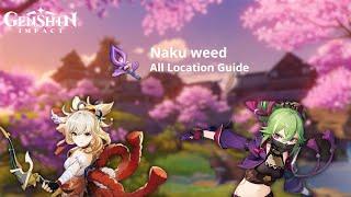 [GUIDE] All Naku Weed Farming Route Location Inazuma Region | Genshin Impact